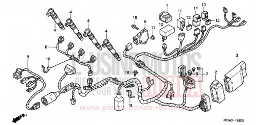 FAISCEAU DES FILS (1) CBR600FY de 2000